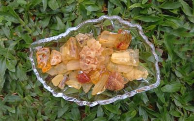 ÂMBAR: AMULETO DE BOA SORTE